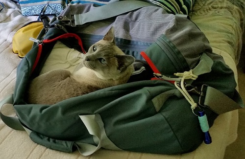 Lila helping me pack