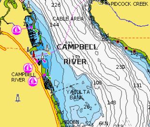 Campbell River Navionics Chart