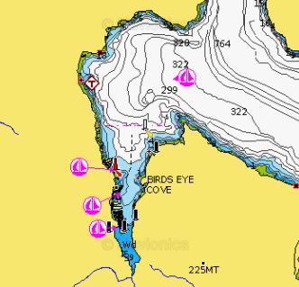 Maple Bay Navionics Chart