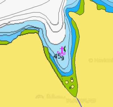 West Humpback Bay Navionics Chart